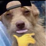 only friends boisss