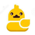 Ducks United (offical)