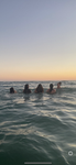 FR/ X/ AL/ WAVES/