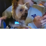 Anslee loves ryder