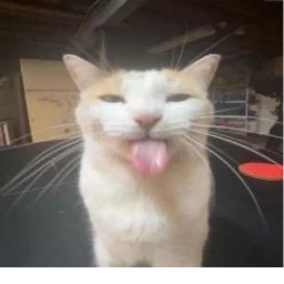[W.I.P] Catnip avengers icon