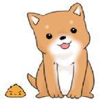 똥개 시티