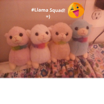 Alanna's fans and followers club