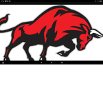 The crazy bulls YT