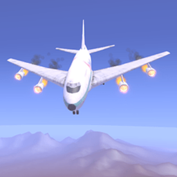 Survive The Plane Crash!