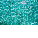 Die süße Roblox Karotten