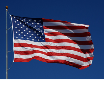 American Obby!