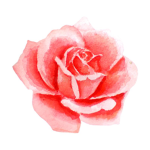Red Roses Dance Group