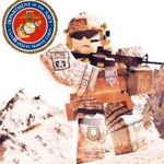 [USMC] The Department Of The Navy