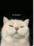Alleycat.,.