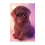 puppy amry