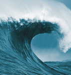 Tsunami trends