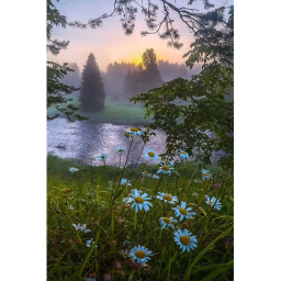 a quiet headspace .....