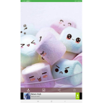 Team choux