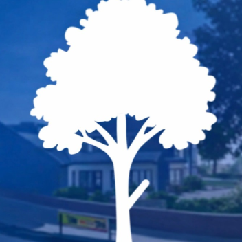 Silver tree Primary School
