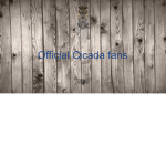 Official cicada fans