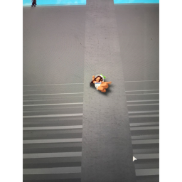 ragdoll engine but its a fighting game