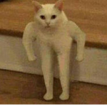 ~rObLoX_SpUaD~