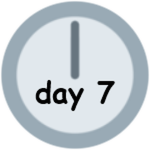 Day 7