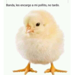 grupo para friends uwu