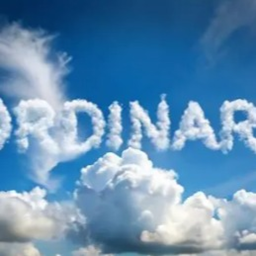 Ordinary Limited