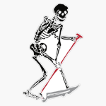 Anatomy LLC