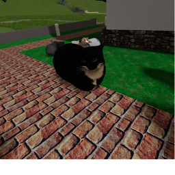 [NEW] Maxwell Cat Life