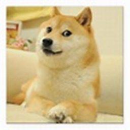 Doge Capture The Flag!