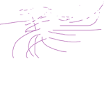 Reg group