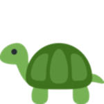 The-Turtle-Team