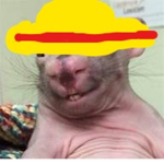 ratbois42311