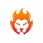 Blaze Tiger Studio