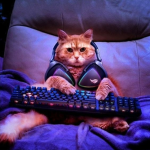 (Gaming)