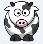 fat cows