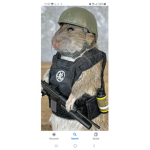 Rodents United (remastered)