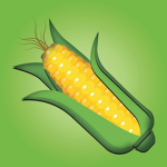 United Corn