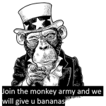 monky kingdom