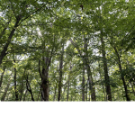 nonhuman vibe place :)