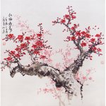 Cherry_Blossom_Clothing