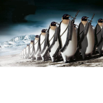 be a penguin!