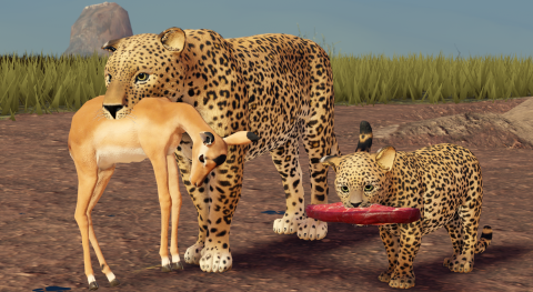 all animals and kill all updated today - Savannah Life script preview