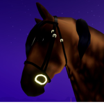 Wild horse islands fan group!