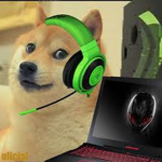 le Doge Gamers