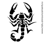 the Xscorpions