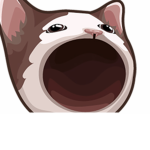 The Pop Cat Community