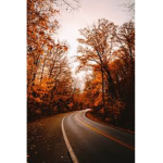 Fall playz