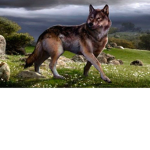 Lobo Gigante