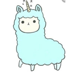 Lovely little llama