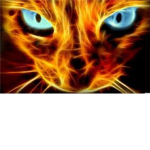 The Warriors of Fire Clan