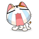 cataochohao